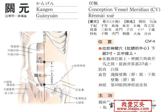 點(diǎn)擊將在新窗口查看全圖 五種肥胖的中醫(yī)艾灸減肥新方法【附圖文】